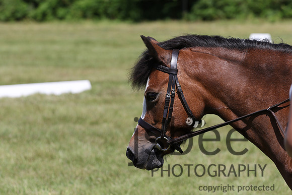 joe_5894j