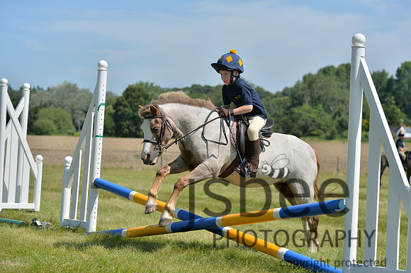 dsb_4262s