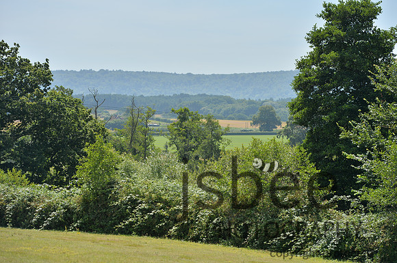 dsb_4349s