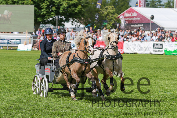 JOE_0987
