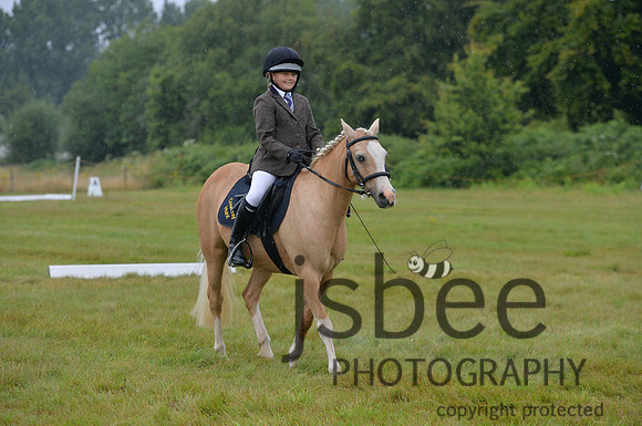 dsb_5939s