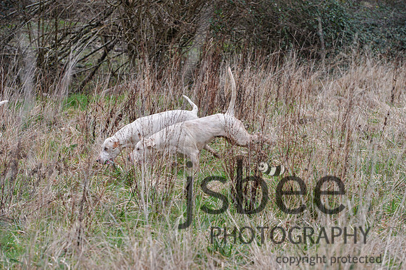 DSB_3014-54