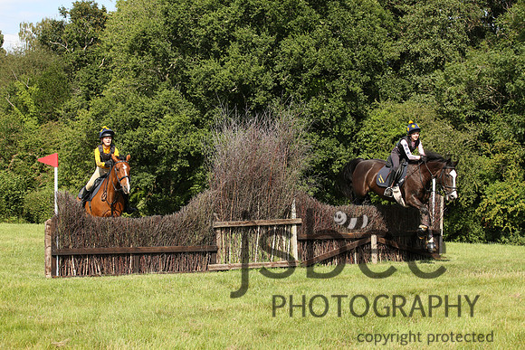 aaj_7687j