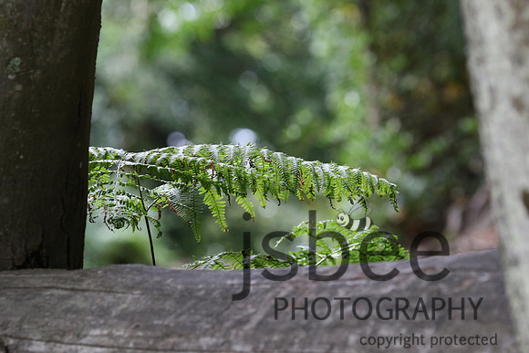 joe_7953j
