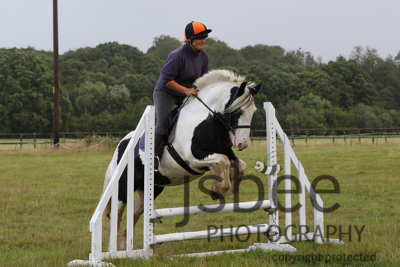 joe_8306j