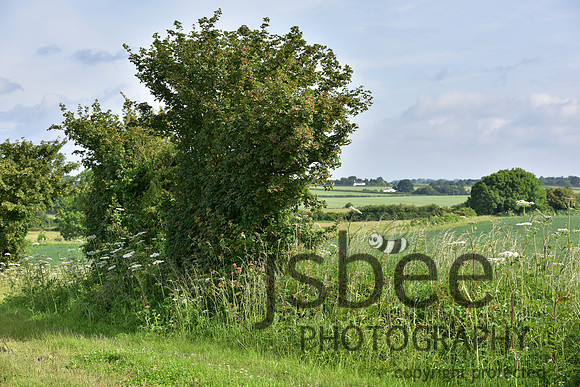 slb_0005s