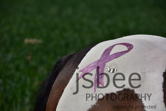 slb_0011s