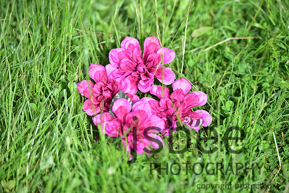 slb_0065s
