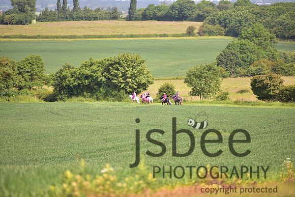 slb_0066s