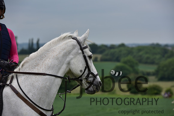 slb_0716s