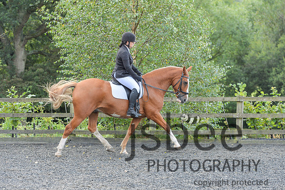dsb_1811s