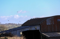 Colland Cross 26/01/24