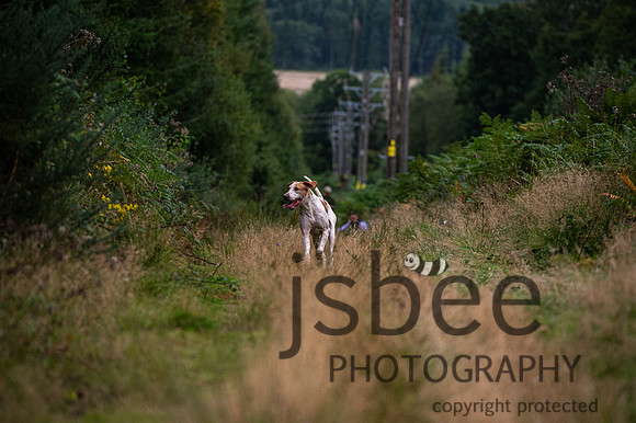 DSB_5923-25