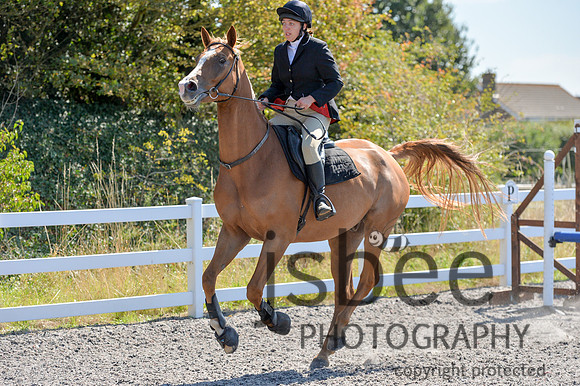 dsb_7219s