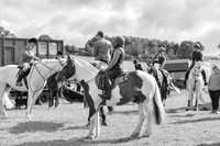 DSB_0215-2