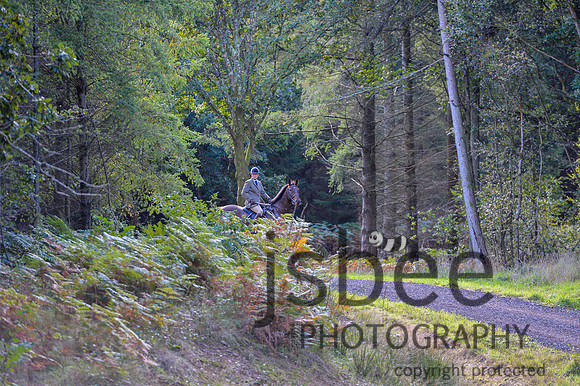 DSB_0938-19