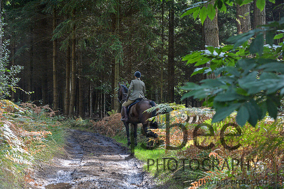 DSB_0973-34