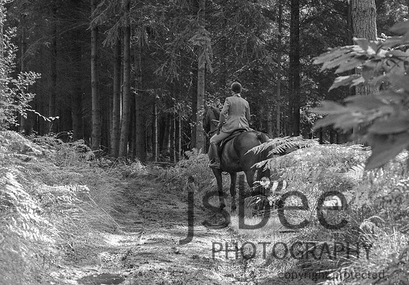 DSB_0974-35