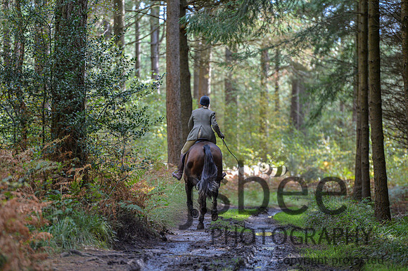 DSB_0979-36