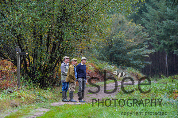 DSB_1031-18-2