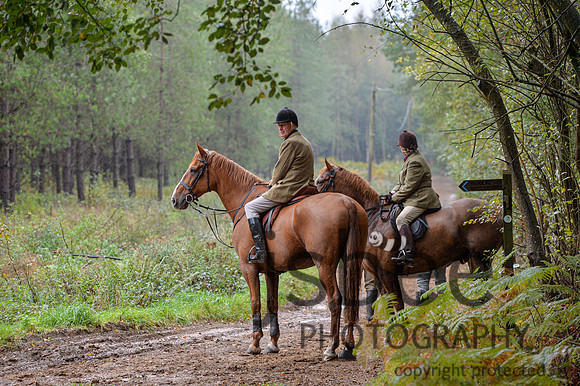 DSB_1051-29-2