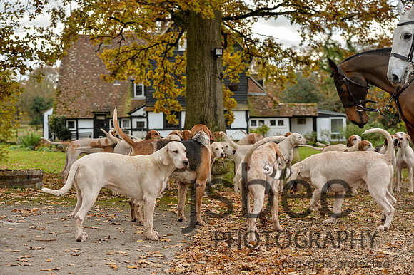 DSB_3752-30