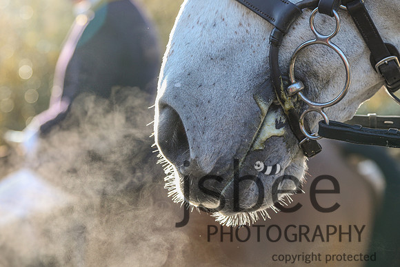 JOB_2991