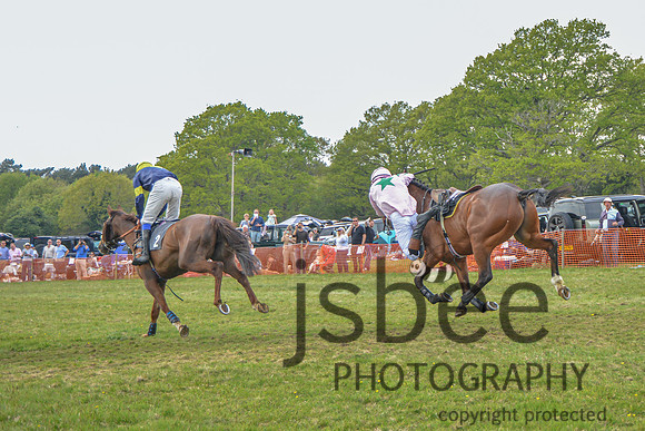 DSC_6343-88