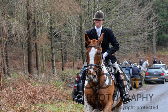 DSB_6431-29