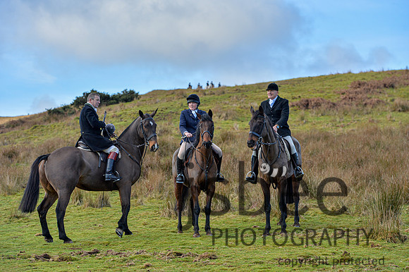 DSB_6619-13