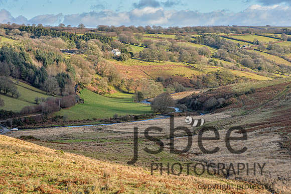DSB_6711-74