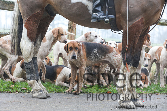 JOB_5017