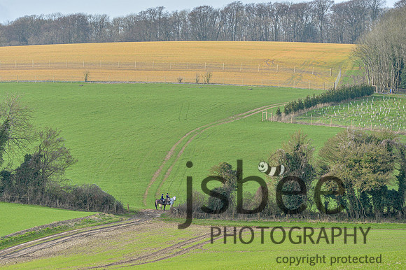 DSB_8284-108