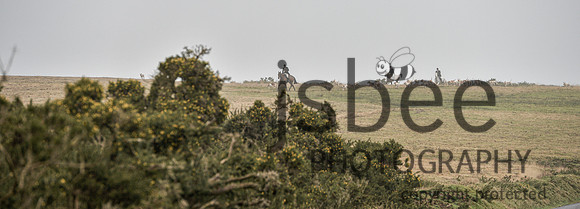 DSB_8882-61