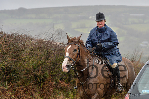 DSB_8919-85
