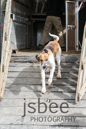 JOB_5459