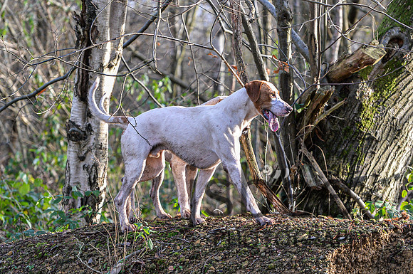 DSB_2767-173