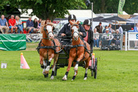JOE_0536
