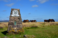 DSC_0825A