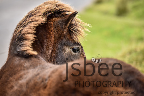 SLB_4672-1