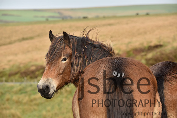 SLB_3771
