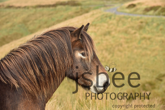 SLB_3779