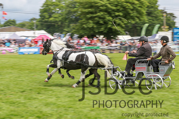 JOE_0750