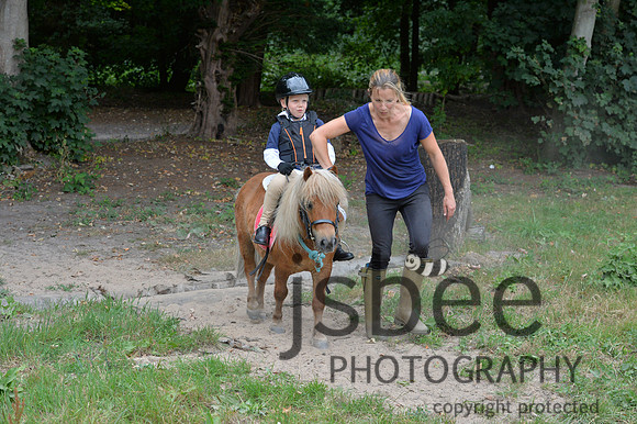 DSB_2919