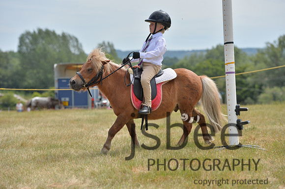 dsb_2115s