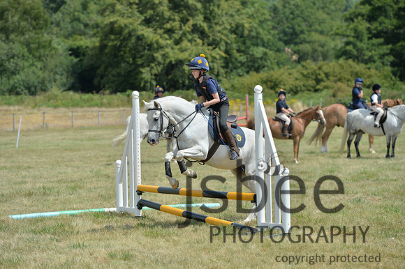 dsb_2012s
