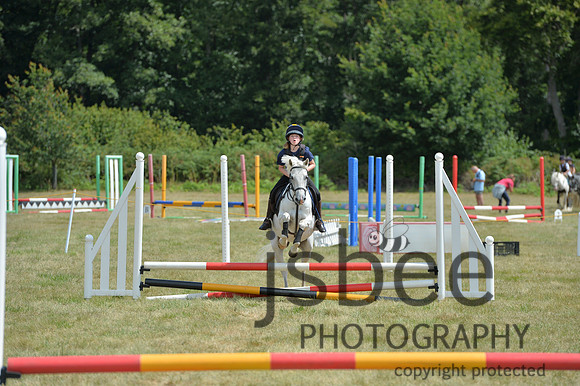 dsb_2014s