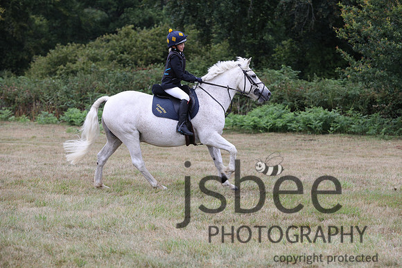 job_8337j