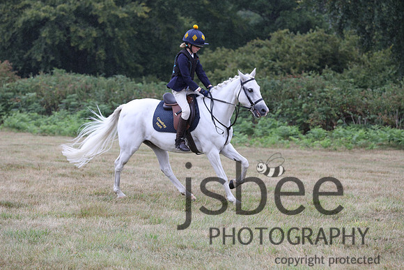 job_8352j