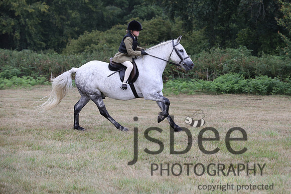 job_8371j